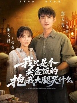 我只是个卖盒饭的抱我大腿哭什么海报